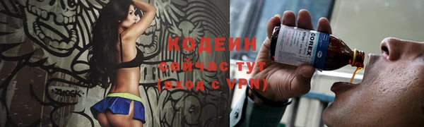 хмурый Абаза