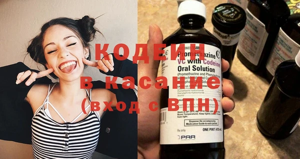 хмурый Абаза