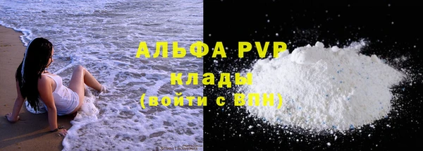 хмурый Абаза