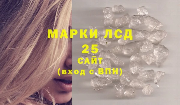 хмурый Абаза