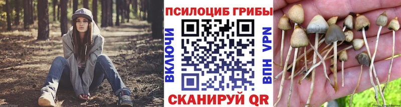 Галлюциногенные грибы Psilocybe  Севастополь 