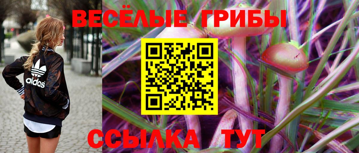 Галлюциногенные грибы Magic Shrooms Севастополь