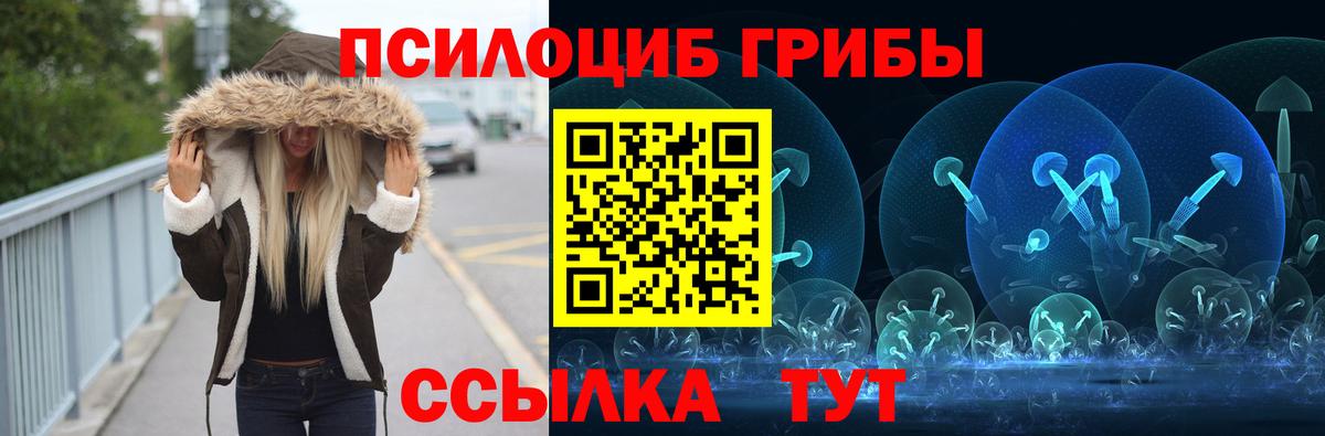 Псилоцибиновые грибы Psilocybe  Вход с VPN  Севастополь 